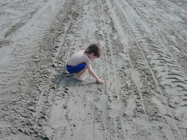 dscn0014.jpg