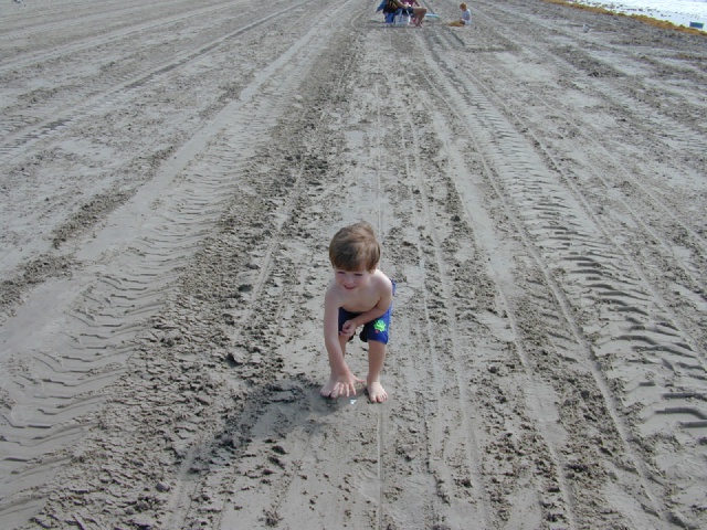 dscn0015.jpg