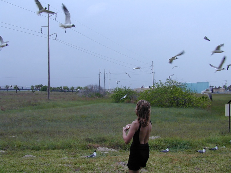 dscn0007.jpg