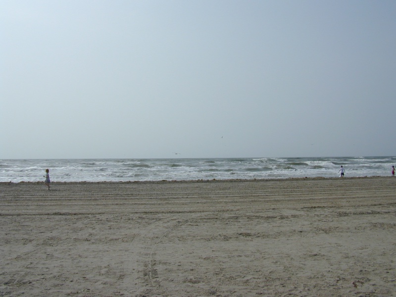 dscn0010.jpg