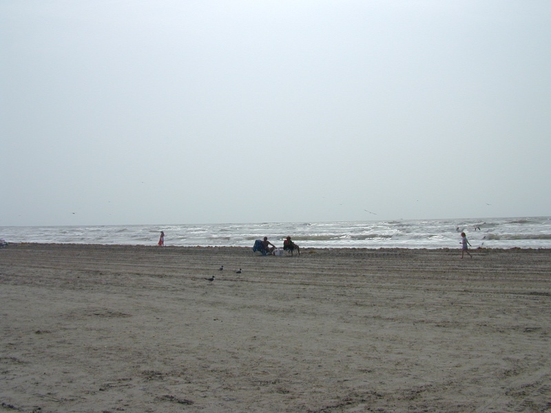 dscn0011.jpg