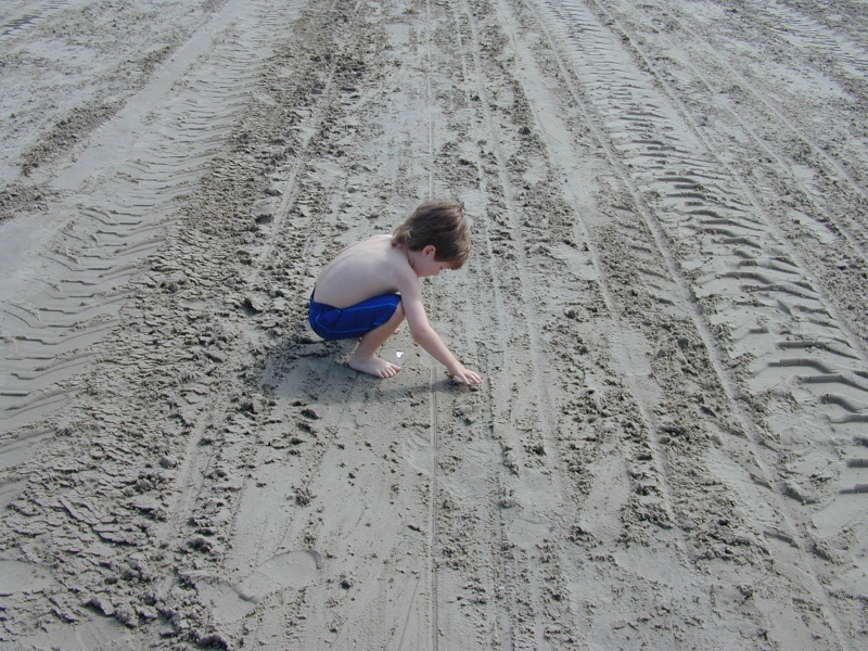 dscn0014.jpg