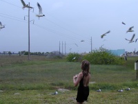 dscn0007.jpg