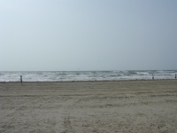 dscn0010.jpg