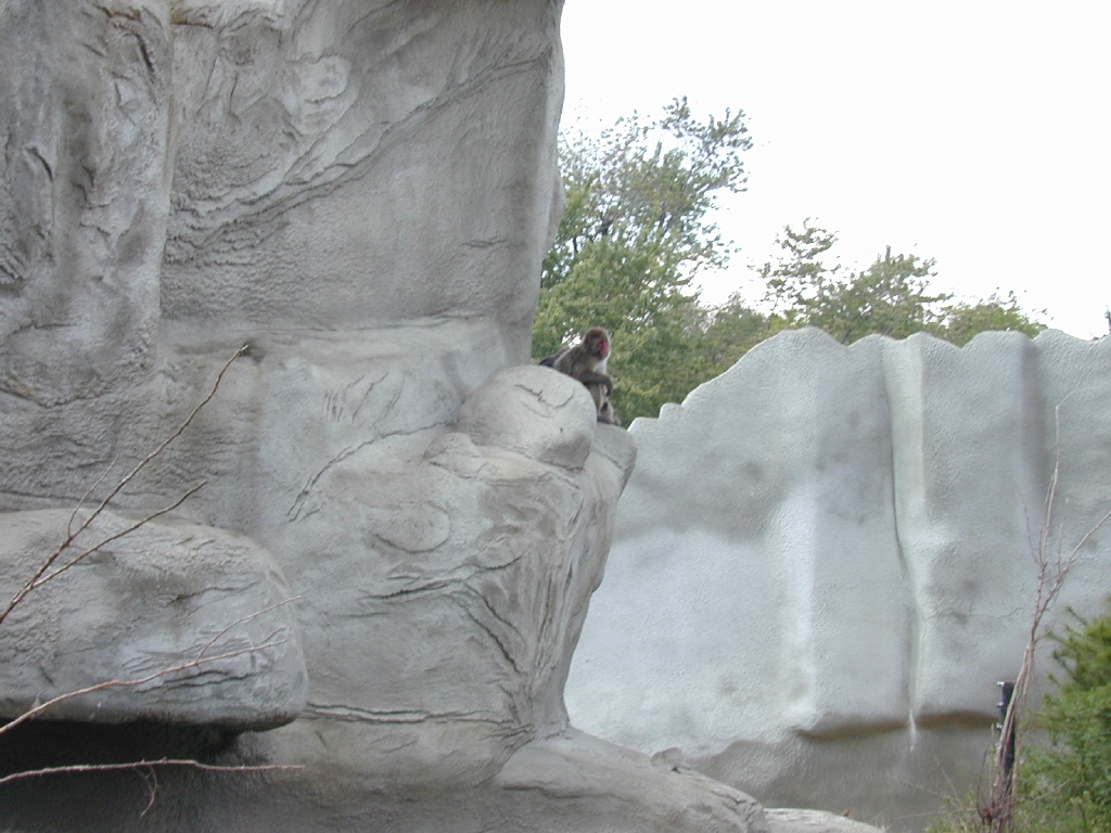 dscn0019.jpg