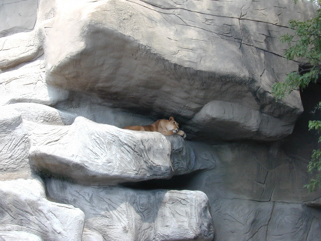 dscn0021.jpg