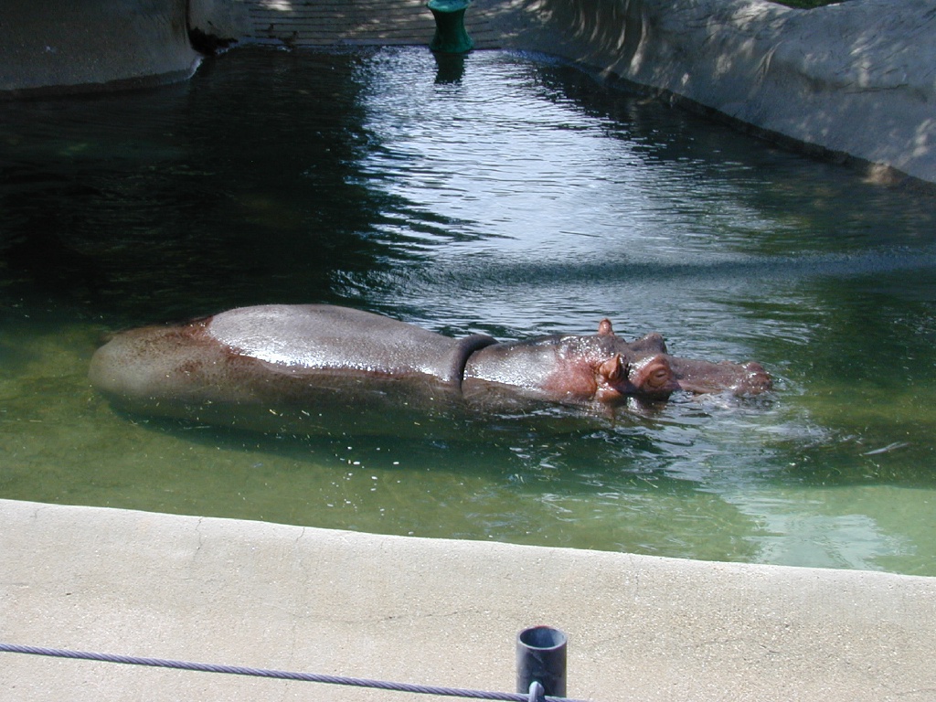 dscn0028.jpg