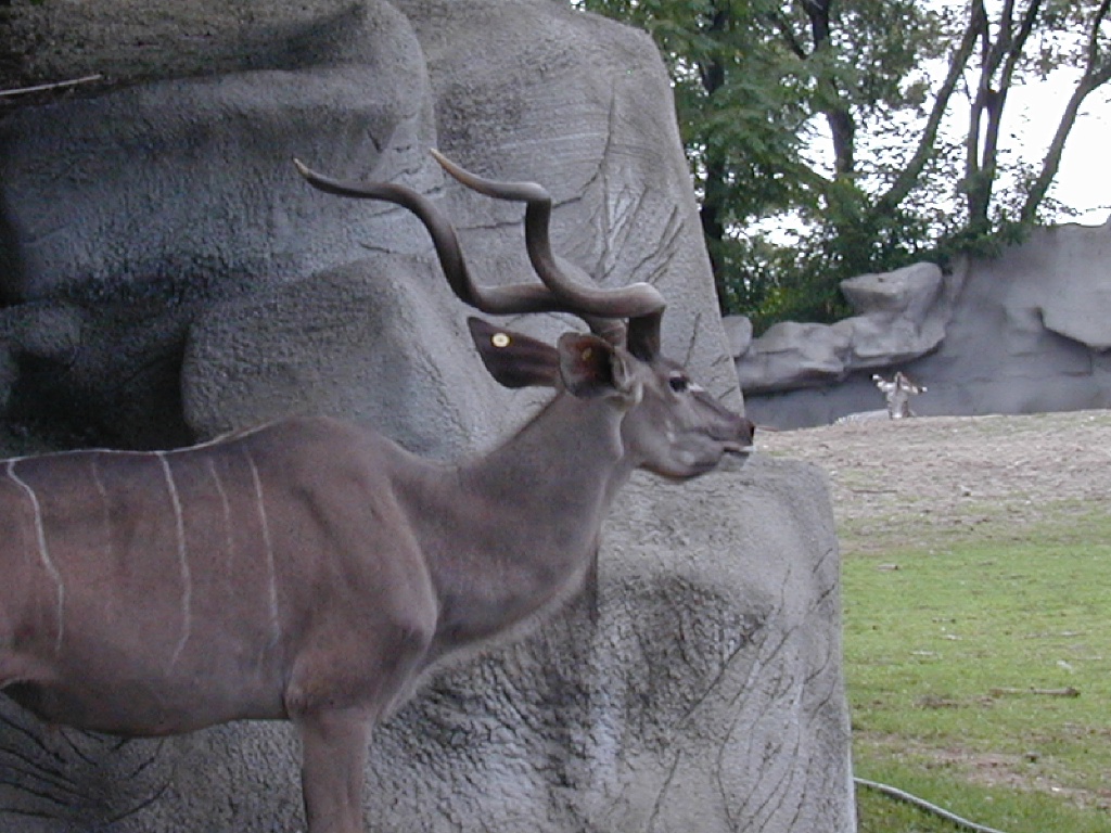 dscn0032.jpg
