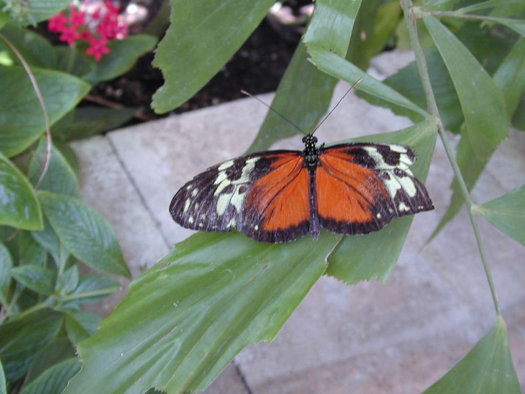 dscn0036.jpg