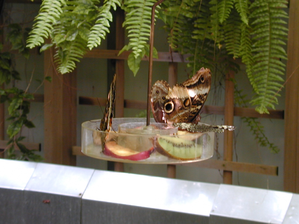 dscn0039.jpg
