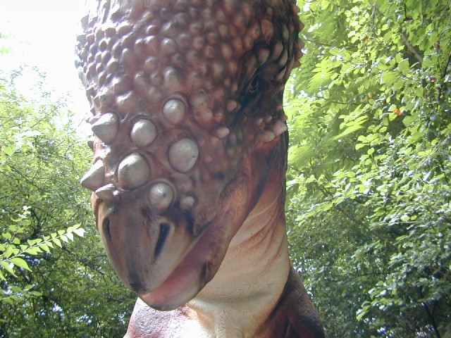 dscn0013.jpg
