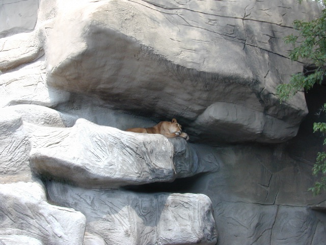dscn0021.jpg