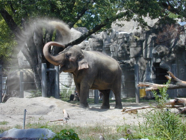 2001/08(August)/Zoo/640x480_dscn0023.jpg