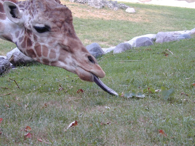 dscn0027.jpg