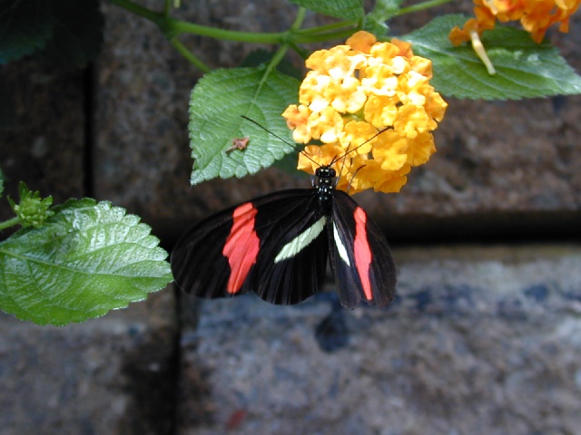 dscn0035.jpg