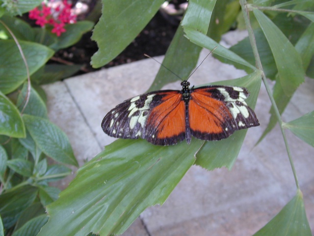 dscn0036.jpg