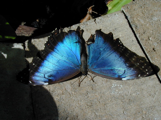 dscn0037.jpg