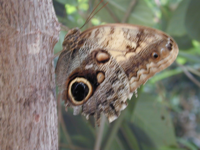 dscn0042.jpg