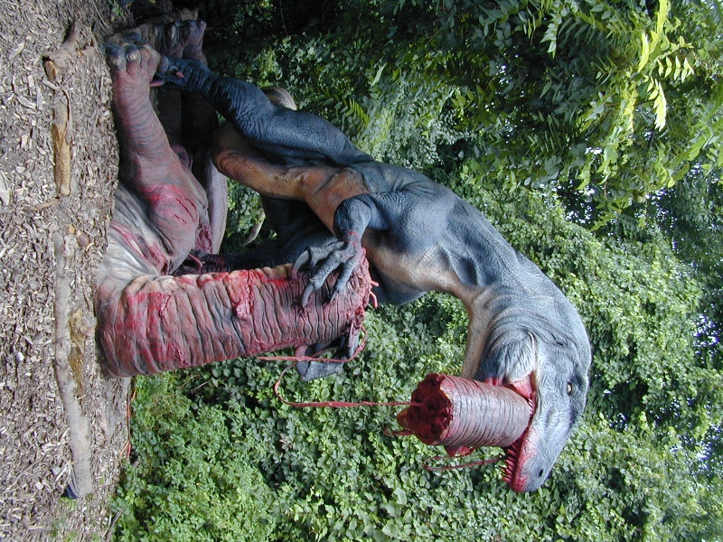 dscn0015.jpg