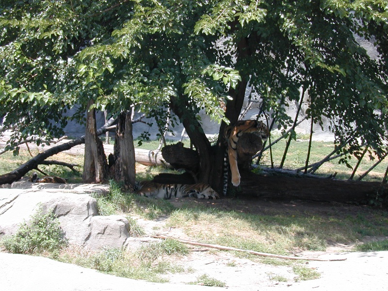 dscn0018.jpg