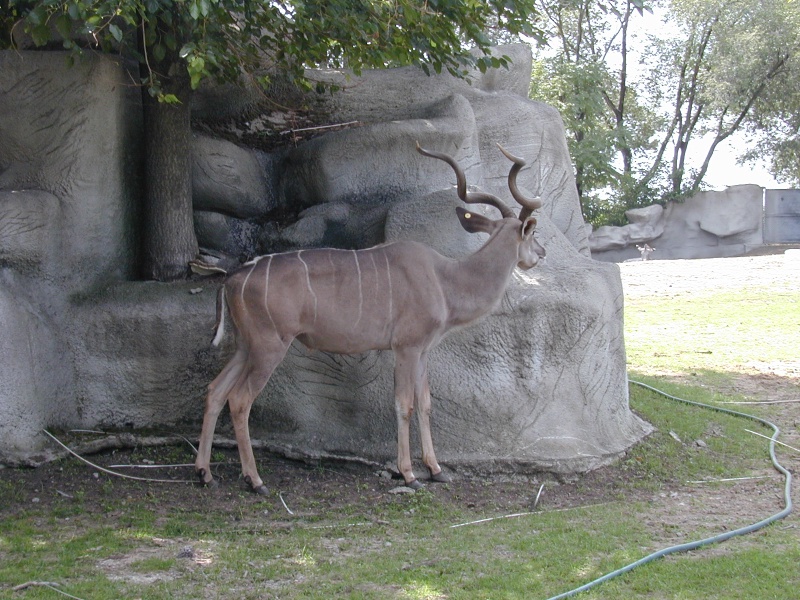 dscn0030.jpg