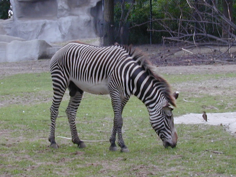 dscn0033.jpg