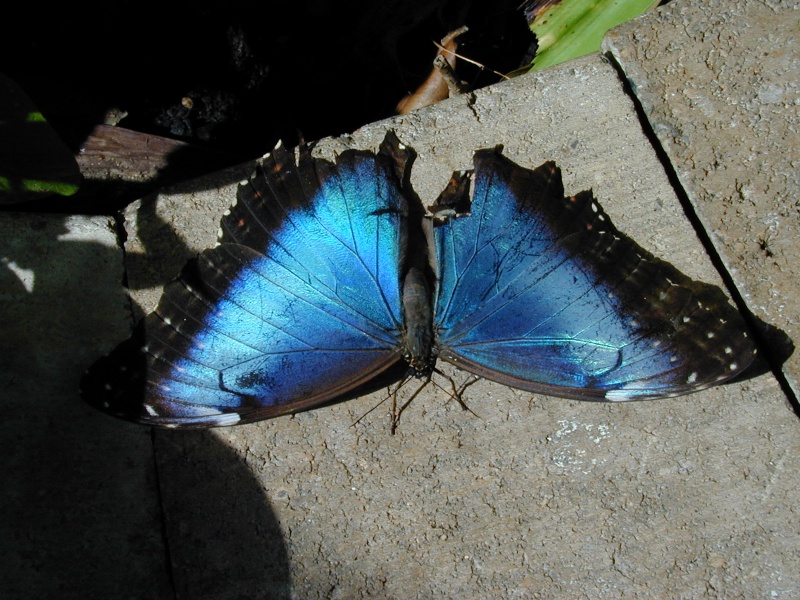 dscn0037.jpg