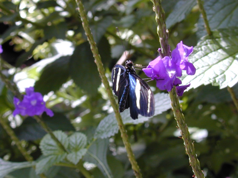 dscn0038.jpg