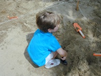 dscn0010.jpg
