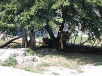 dscn0018.jpg
