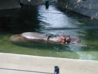 dscn0028.jpg