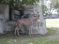 dscn0030.jpg