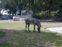 dscn0031.jpg
