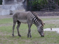 dscn0033.jpg