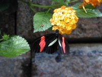 dscn0035.jpg