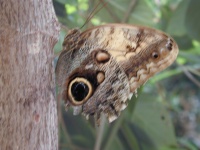 dscn0042.jpg