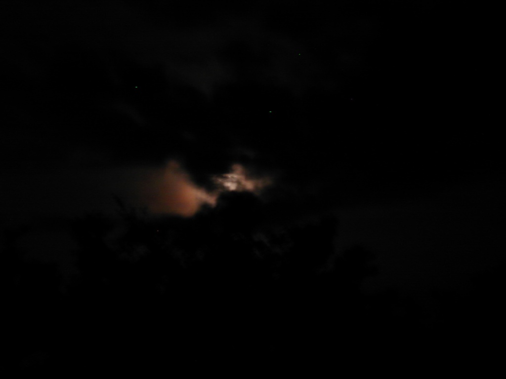DSCN0125.JPG