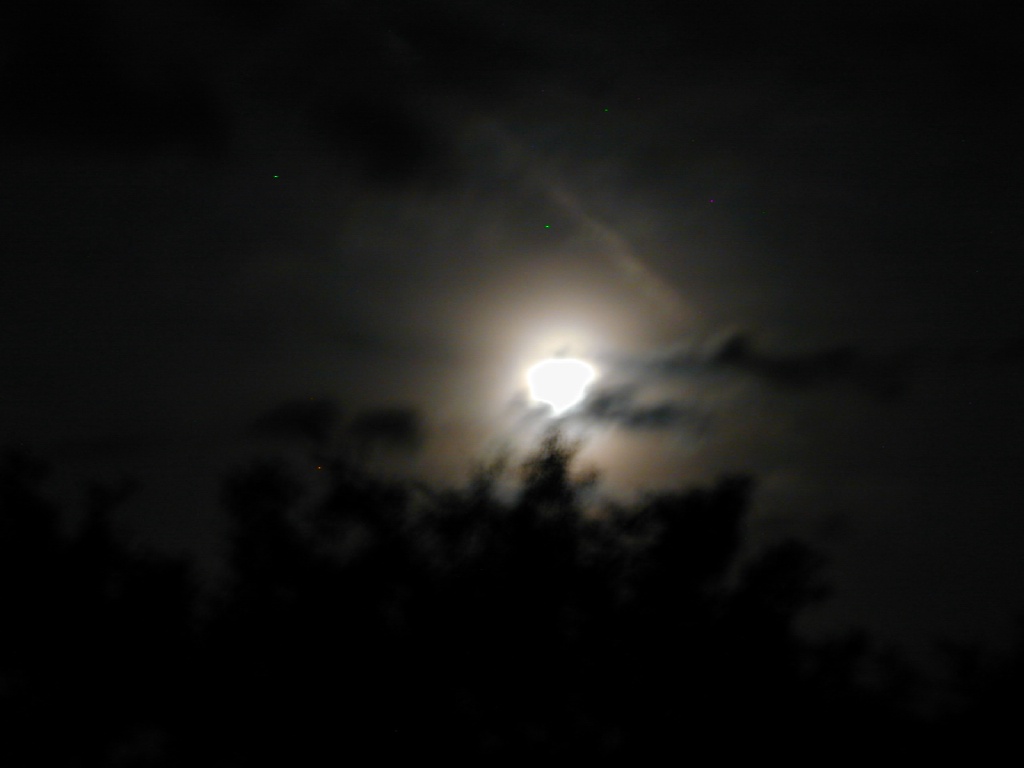 DSCN0130.JPG