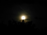 DSCN0127.JPG