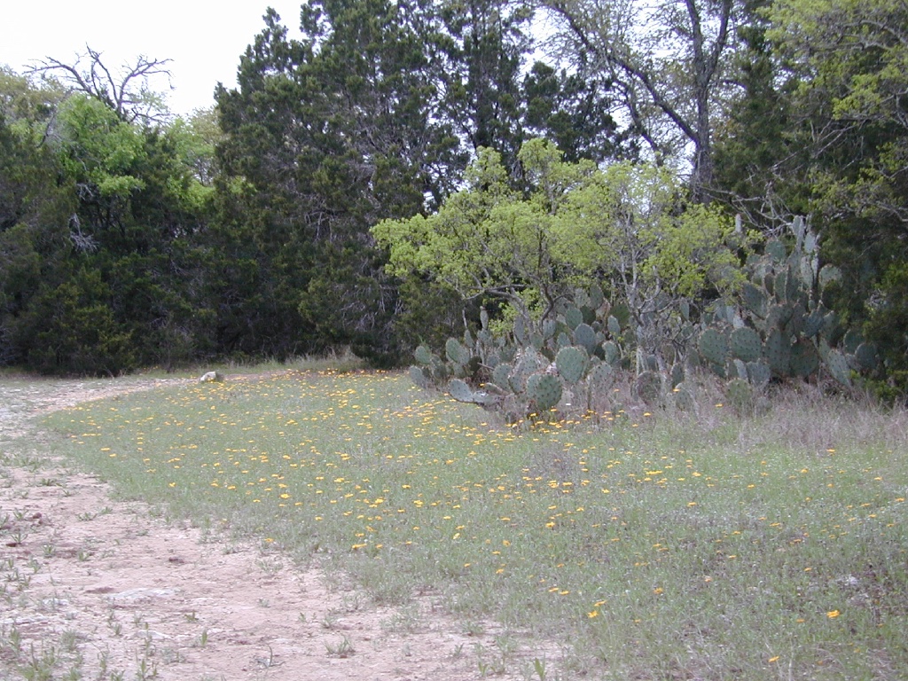 DSCN0015.JPG