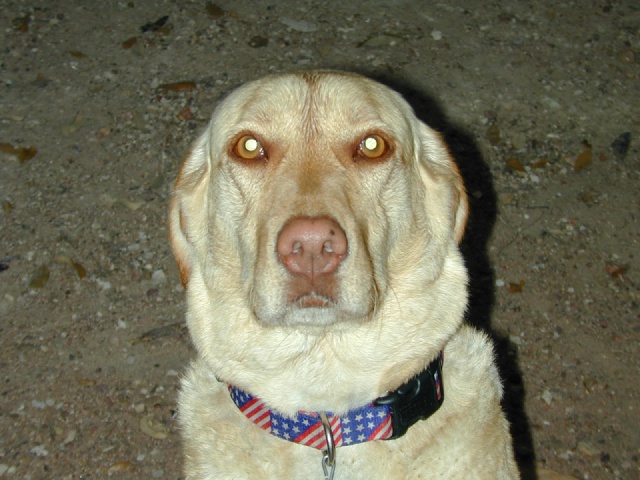 DSCN0002.JPG