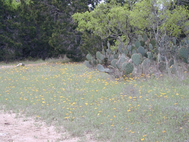 DSCN0016.JPG