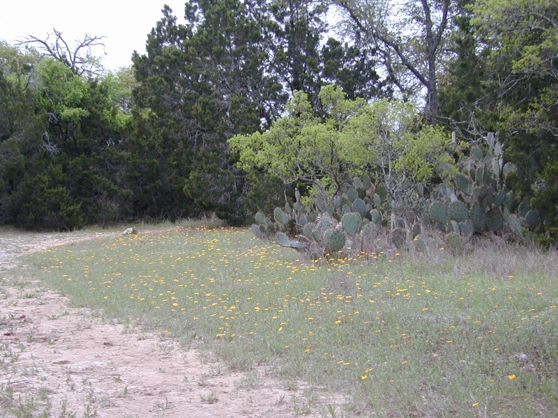 DSCN0015.JPG