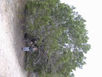 DSCN0013.JPG