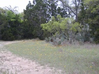 DSCN0015.JPG