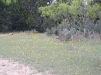 DSCN0016.JPG