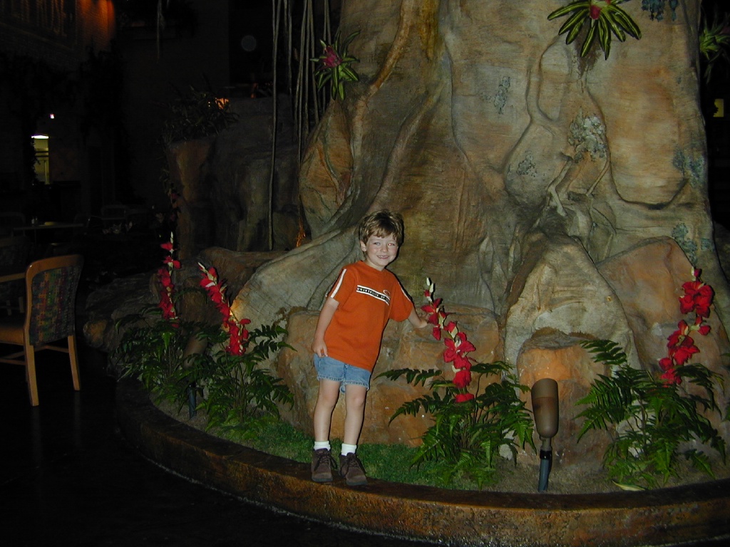 2002/04(April)/Lousiana_and_Wedding/1024x768_DSCN0043.JPG