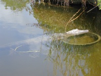 DSCN0044.JPG