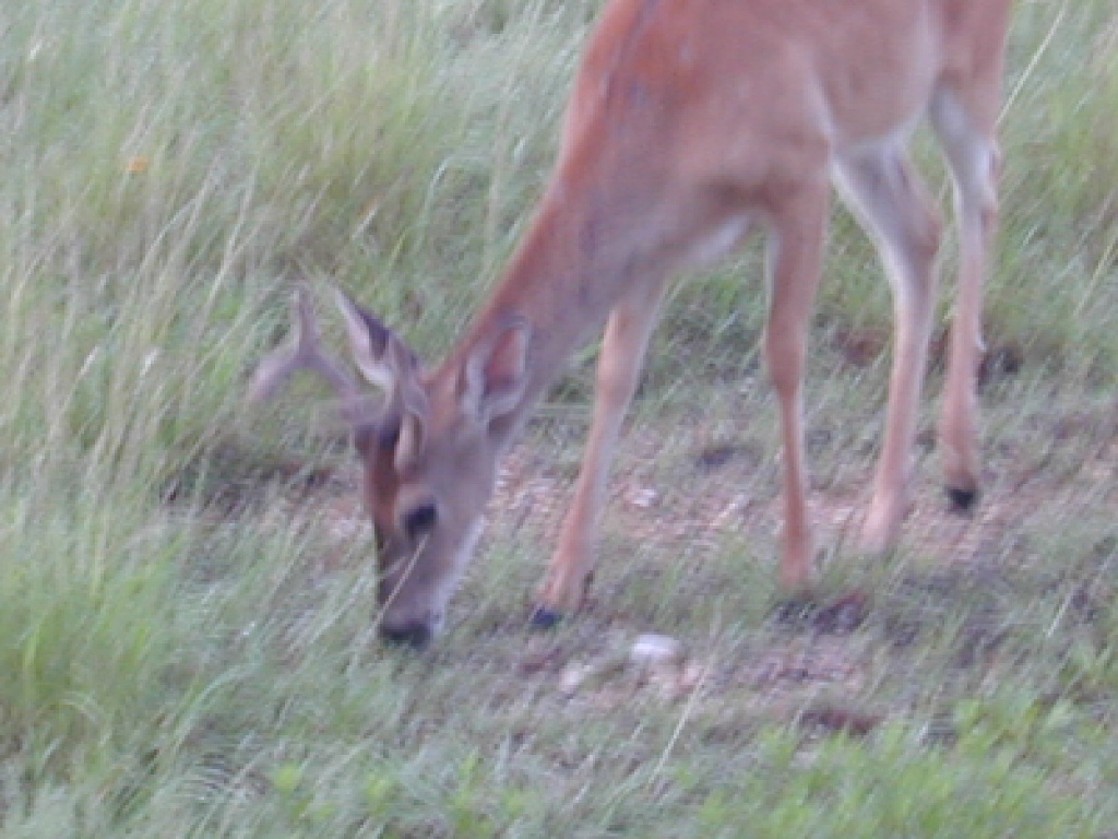 DSCN0019.JPG
