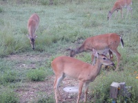 DSCN0018.JPG